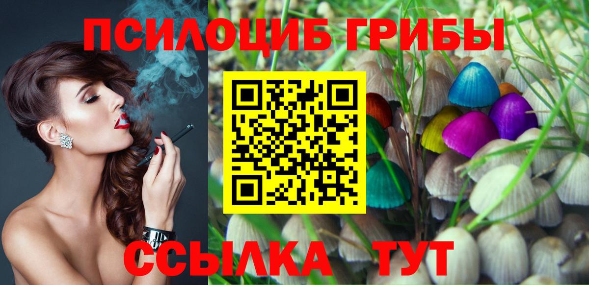 Галлюциногенные грибы мухоморы  Вход с VPN  Курчалой 