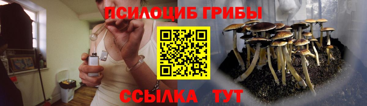 Галлюциногенные грибы Magic Shrooms Курчалой
